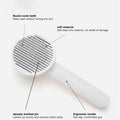 Hairbrush with labeled features on a white background