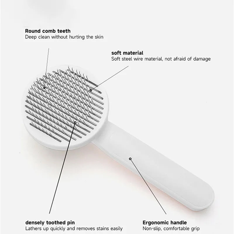 Hairbrush with labeled features on a white background