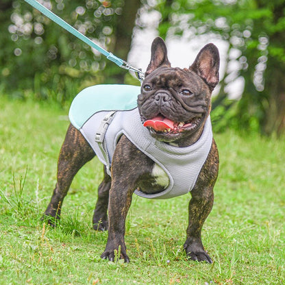 Dog Cooling Vest – Breathable Summer Heat Protection Jacket - Dulypets