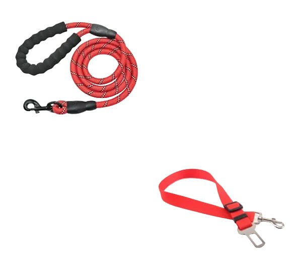 Reflective Dog Leash – Durable Rope for Walking & Training - Dulypets
