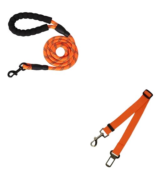 Reflective Dog Leash – Durable Rope for Walking & Training - Dulypets