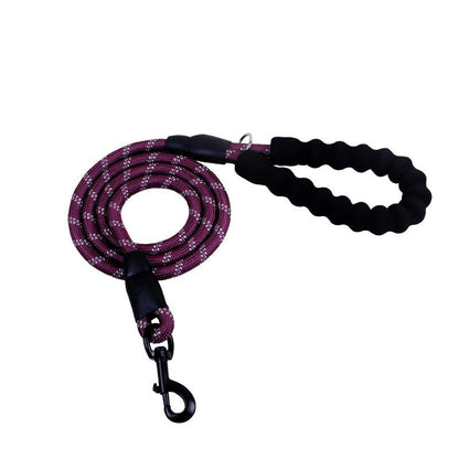 Reflective Dog Leash – Durable Rope for Walking & Training - Dulypets