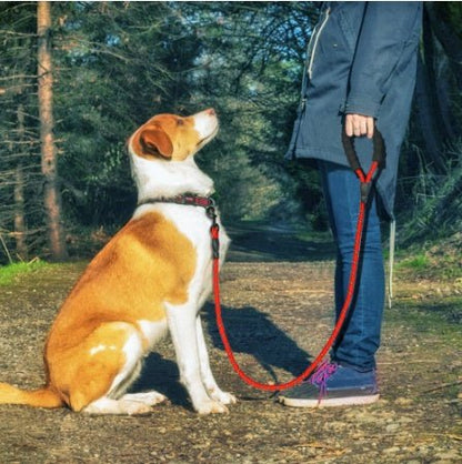 Reflective Dog Leash – Durable Rope for Walking & Training - Dulypets